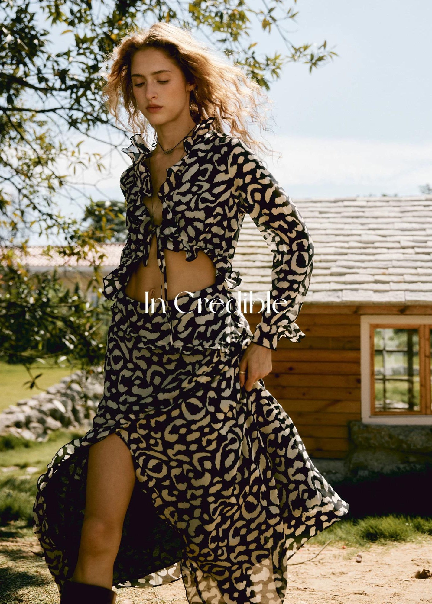 Black Beige Animal Print Dress